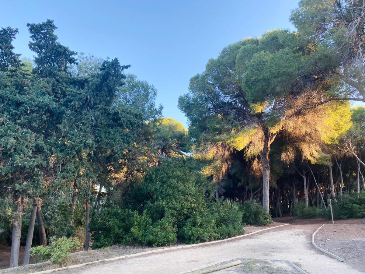 קמפואמור Apartamento Hermosa Glea מראה חיצוני תמונה
