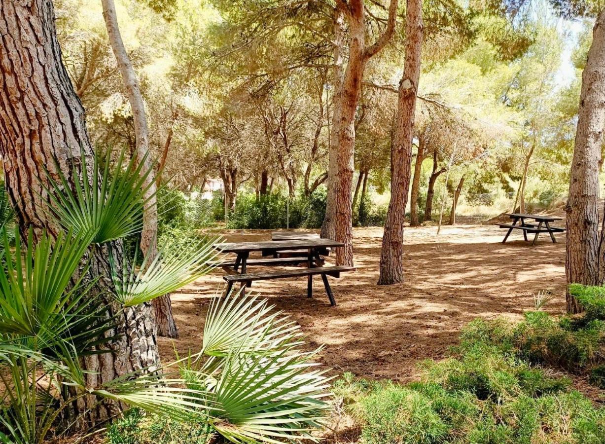 קמפואמור Apartamento Hermosa Glea מראה חיצוני תמונה