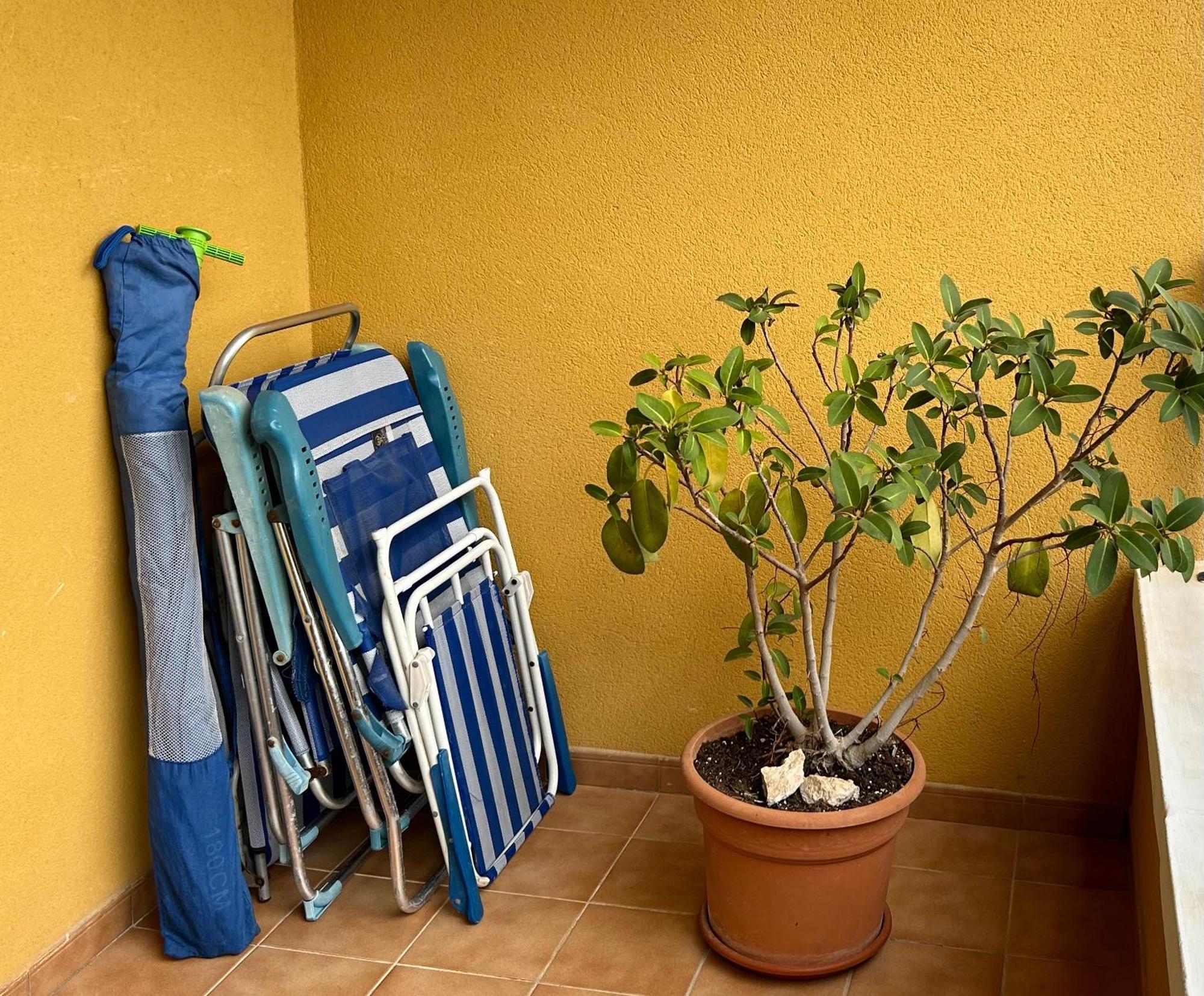 קמפואמור Apartamento Hermosa Glea מראה חיצוני תמונה