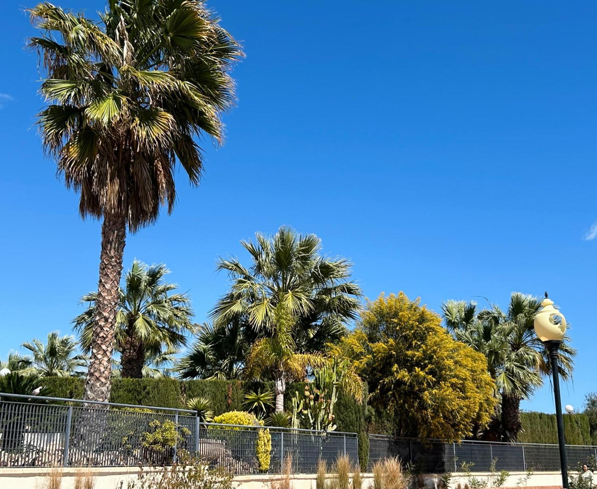 קמפואמור Apartamento Hermosa Glea מראה חיצוני תמונה